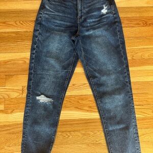 American Eagle Classic Blue Distressed Women's Jeans